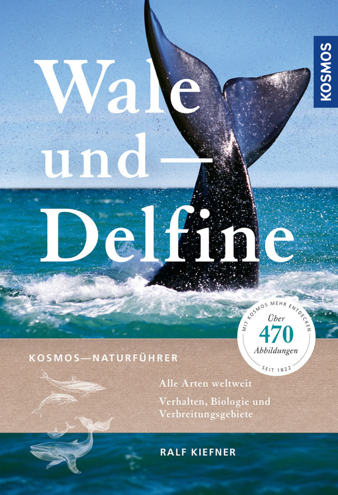 Wale und Delfine main product photo