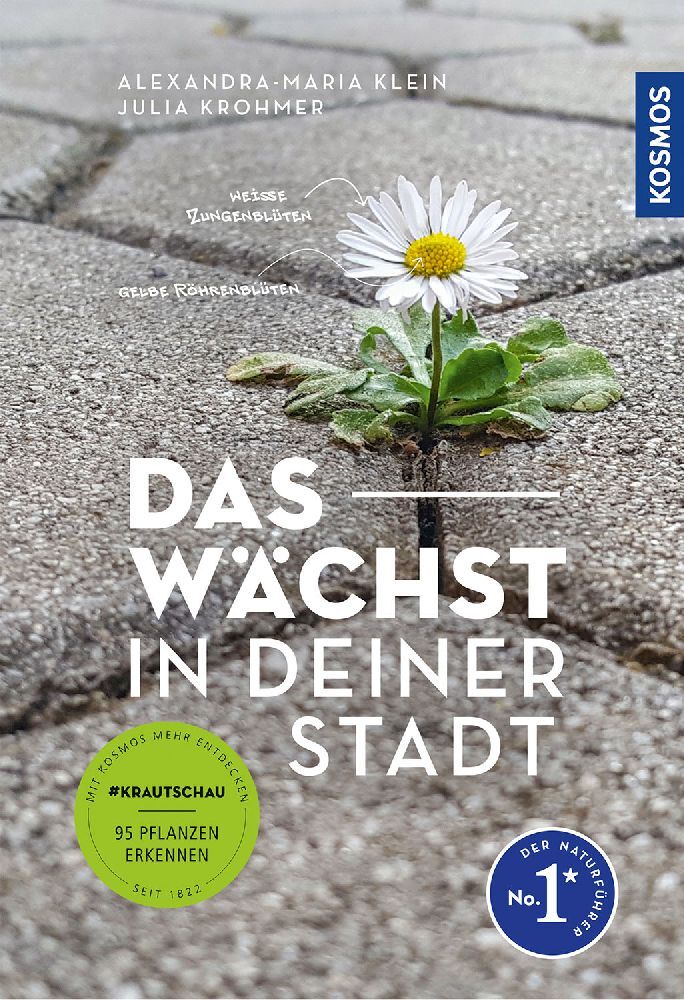 Das wächst in deiner Stadt main product photo
