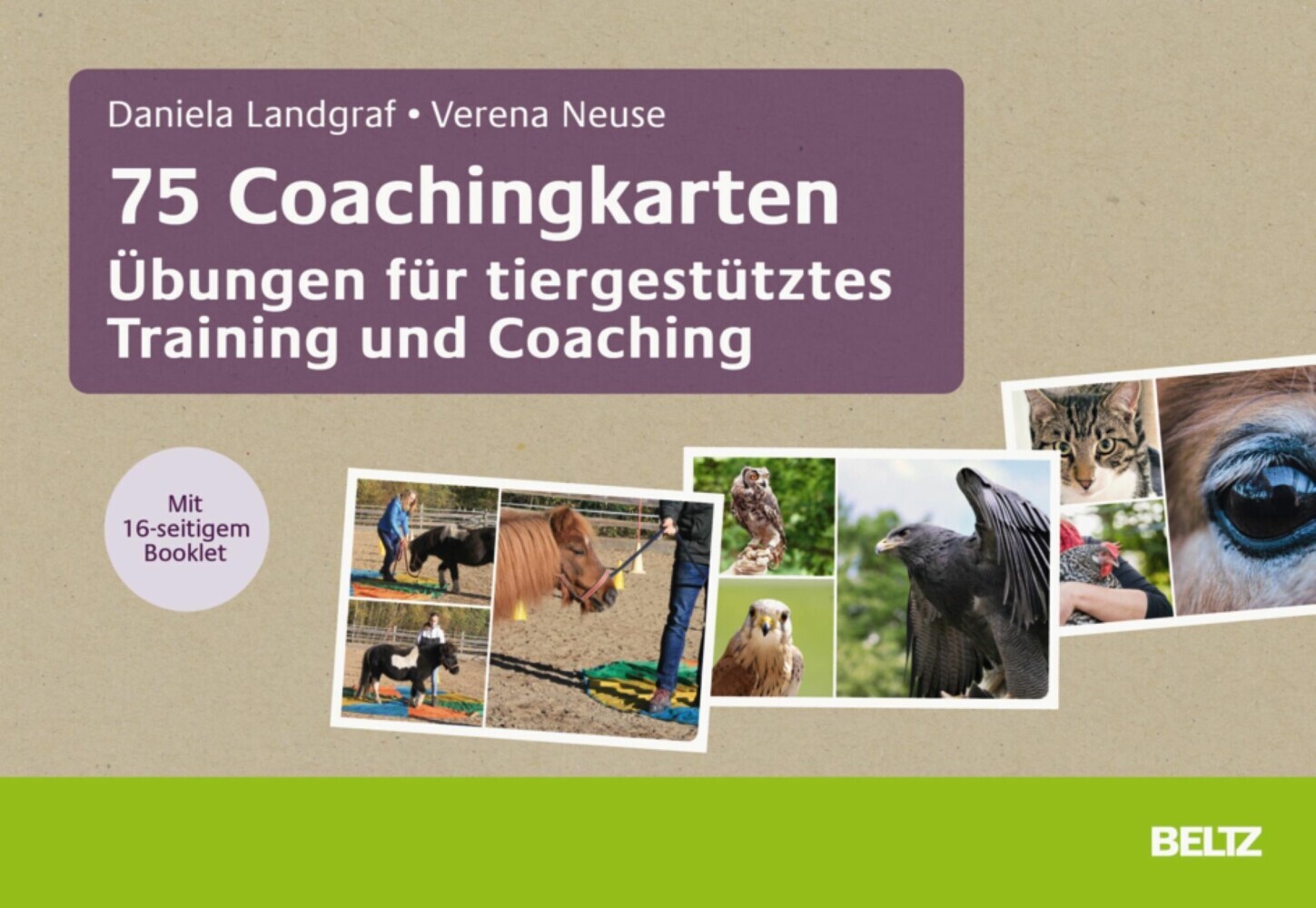75 Coachingkarten Übungen für tiergestütztes Training und Coaching main product photo
