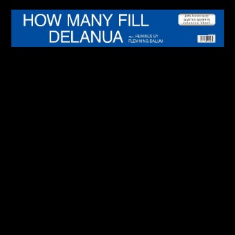 How Many Fill, 1 Schallplatte