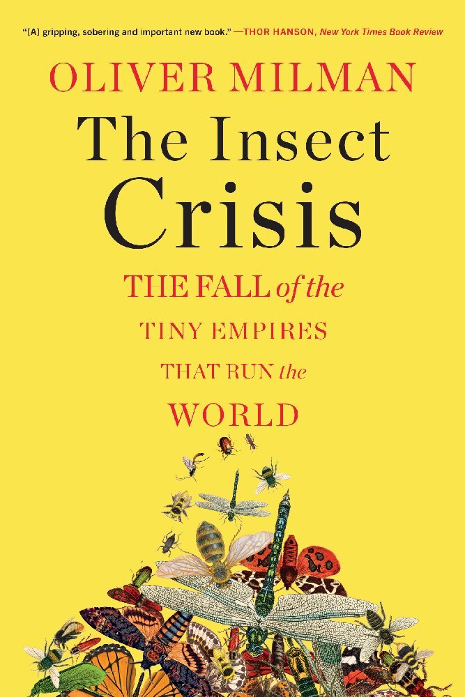 The Insect Crisis main product photo