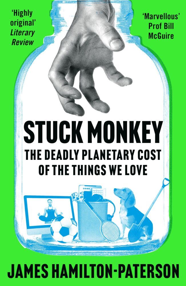 Stuck Monkey main product photo