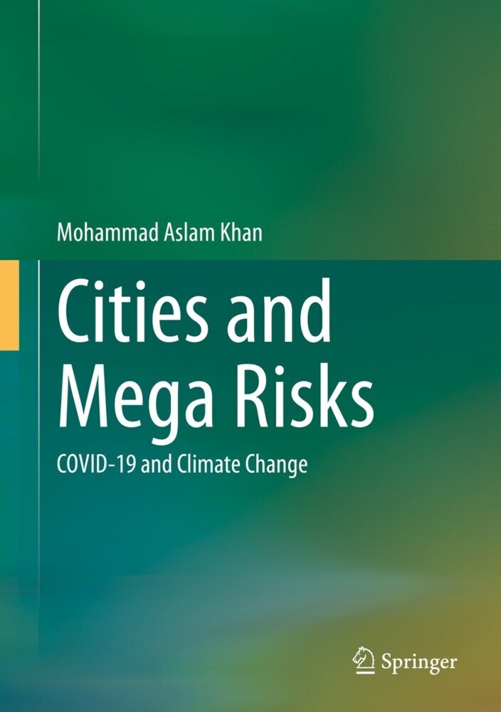 Cities and Mega Risks main product photo