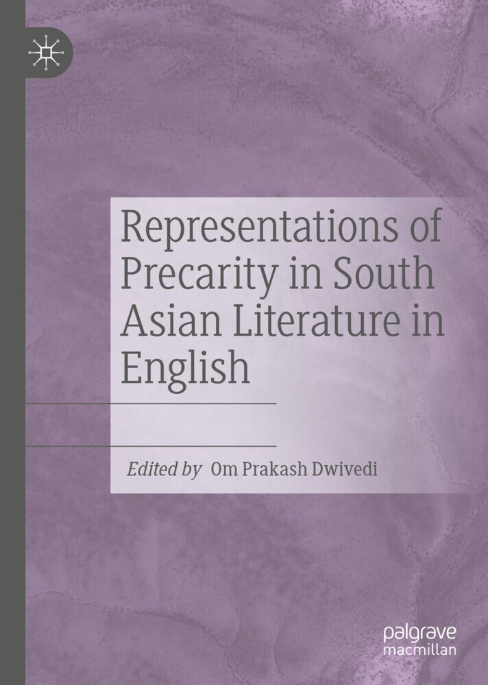 Representations of Precarity in South Asian Literature in English main product photo