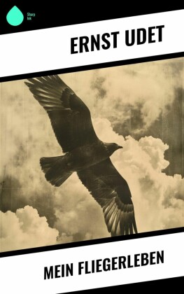 Mein Fliegerleben