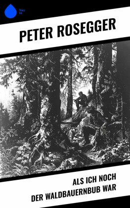 Als ich noch der Waldbauernbub war
