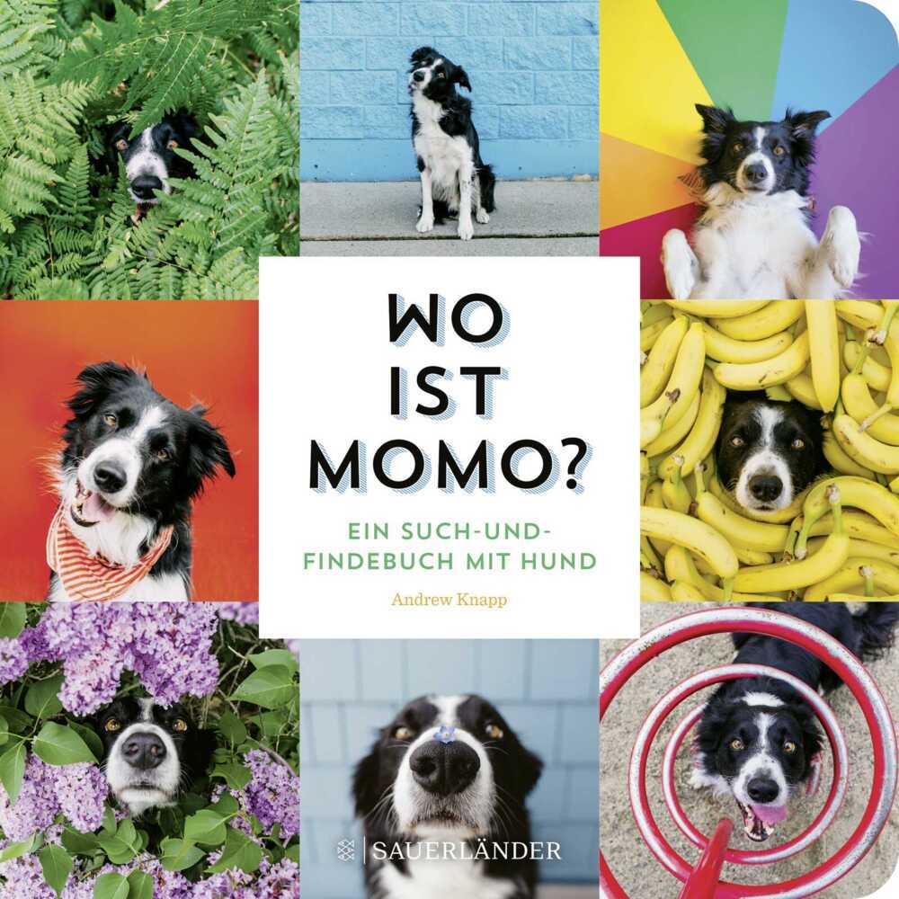 Wo ist Momo? main product photo