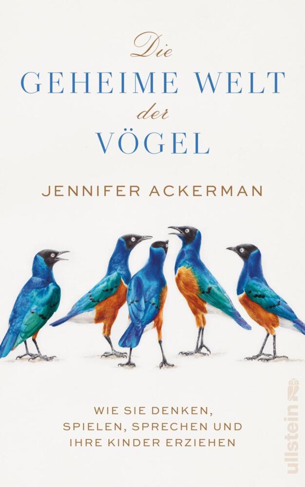 Die geheime Welt der Vögel main product photo