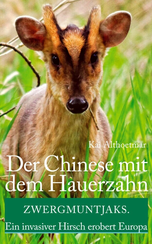Der Chinese mit dem Hauerzahn. Zwergmuntjaks. Ein invasiver Hirsch erobert Europa main product photo