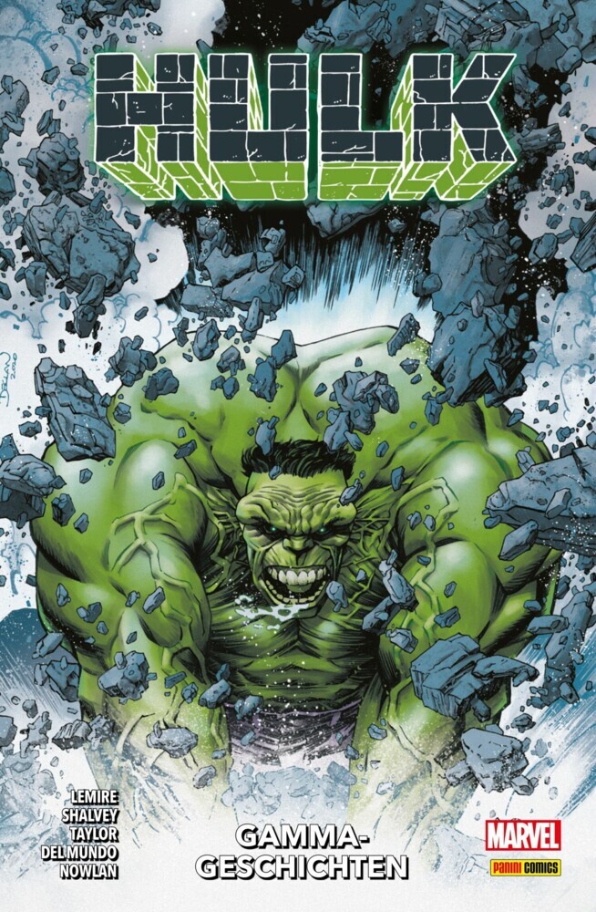 HULK - Gamma-Geschichten main product photo