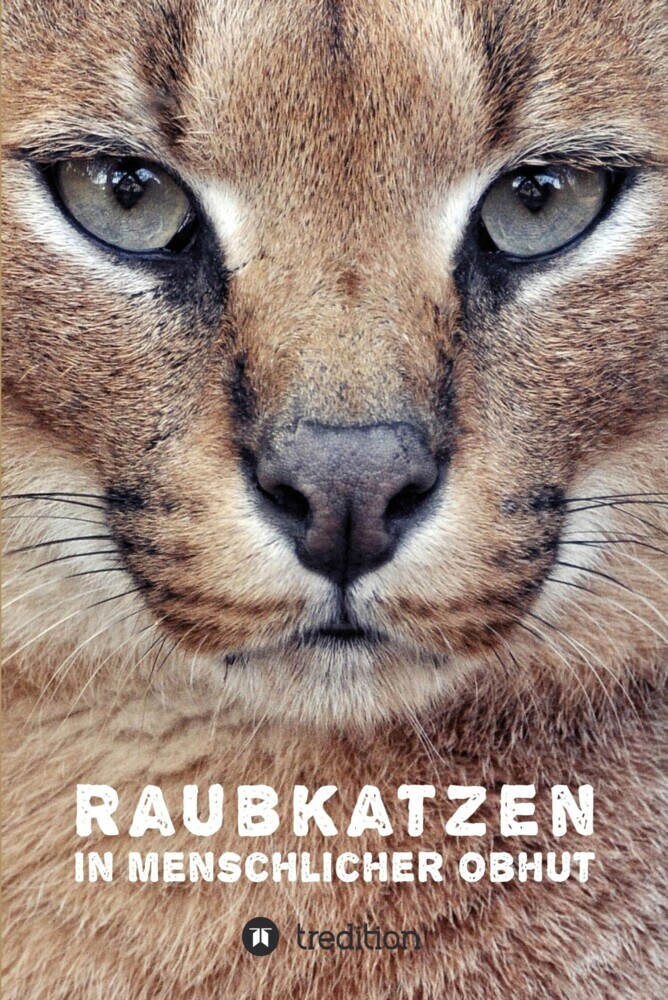 Raubkatzen in menschlicher Obhut main product photo