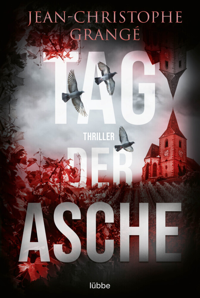 Tag der Asche main product photo