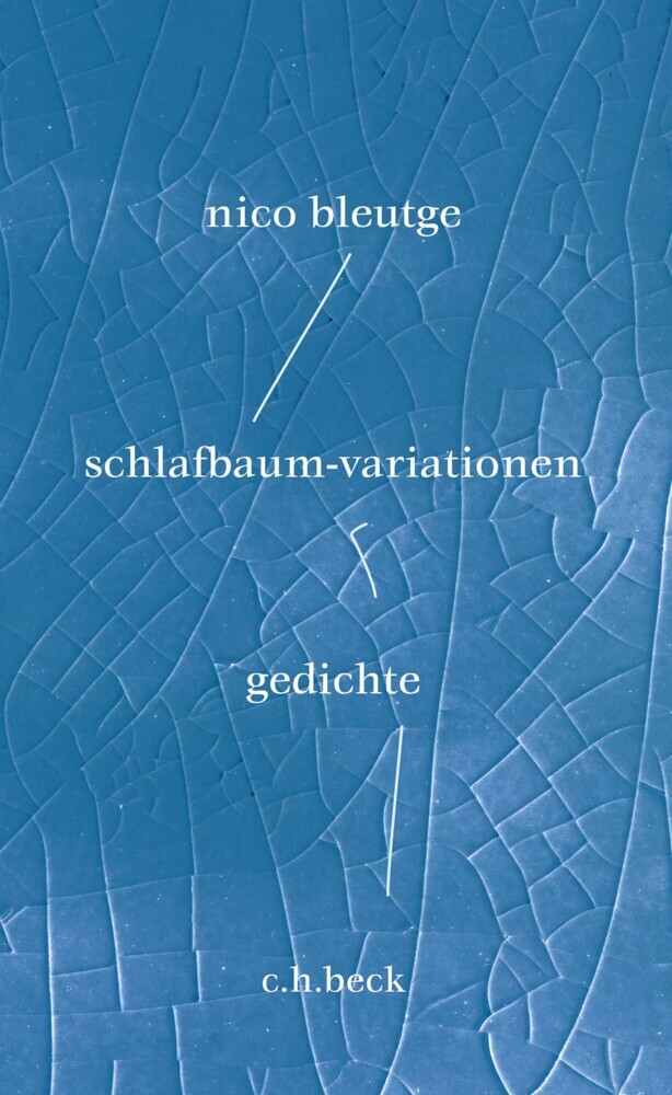 schlafbaum-variationen main product photo
