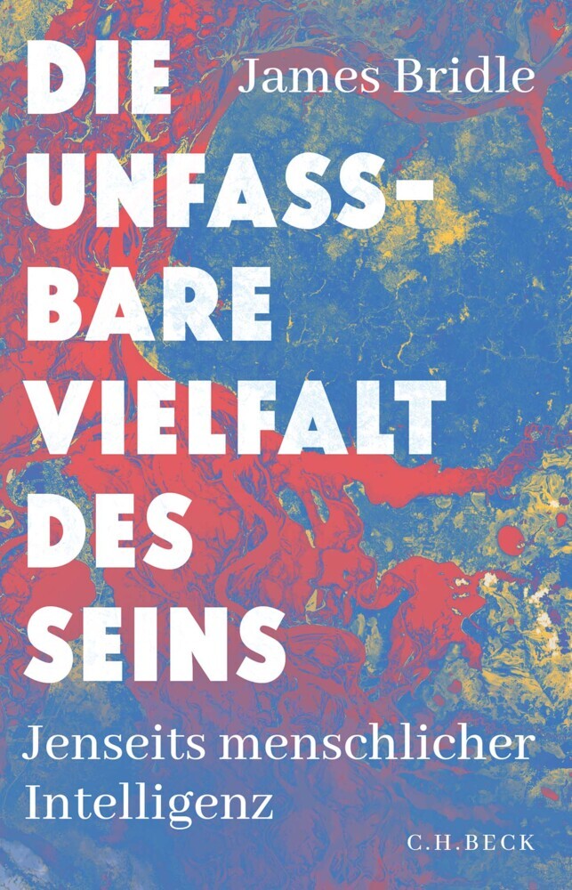 Die unfassbare Vielfalt des Seins main product photo
