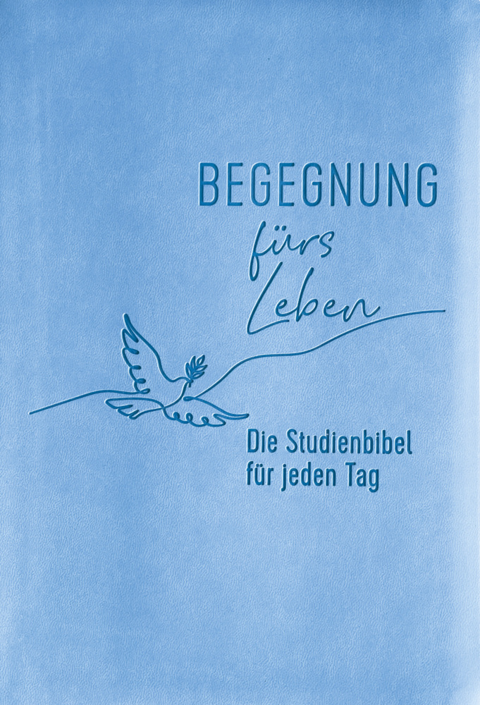 Begegnung fürs Leben, Kunstleder main product photo
