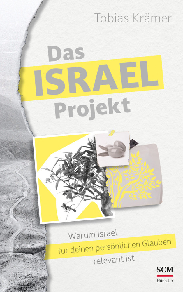 Das Israel-Projekt main product photo