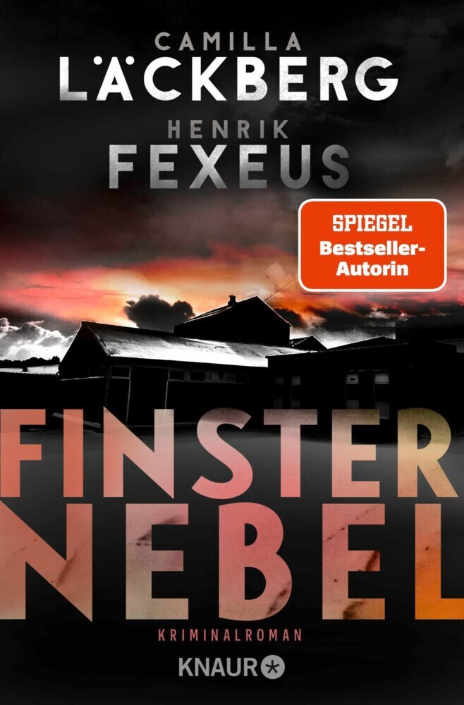 Finsternebel main product photo