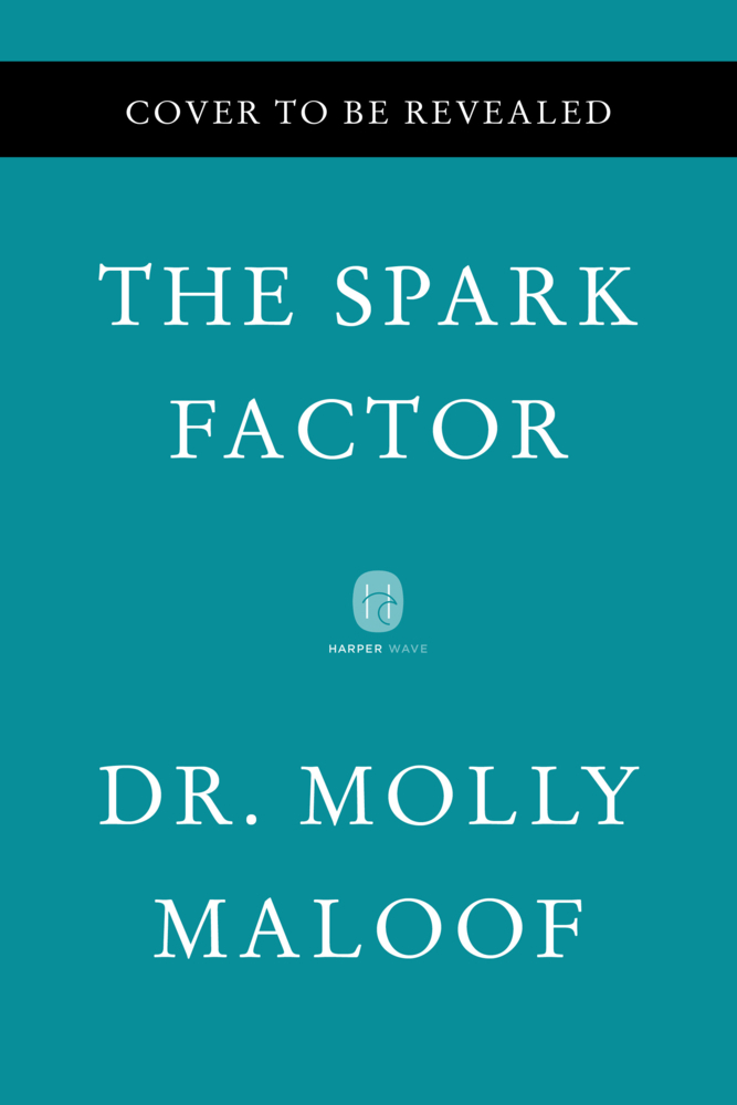 Spark Factor, The main product photo