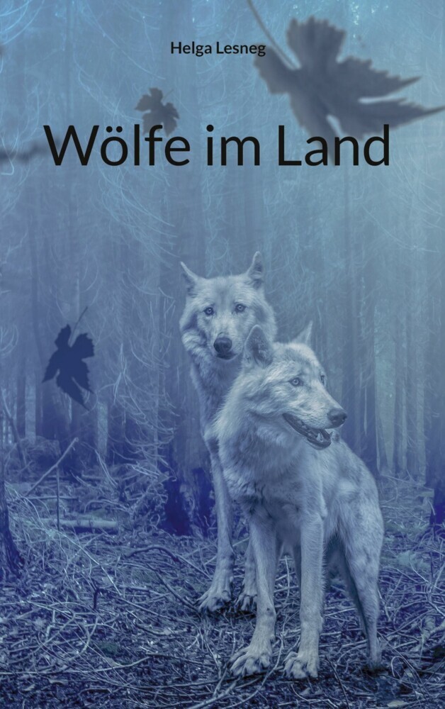 Wölfe im Land main product photo