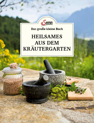 Das große kleine Buch: Heilsames aus dem Kräutergarten main product photo
