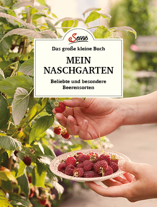 Das große kleine Buch: Mein Naschgarten main product photo