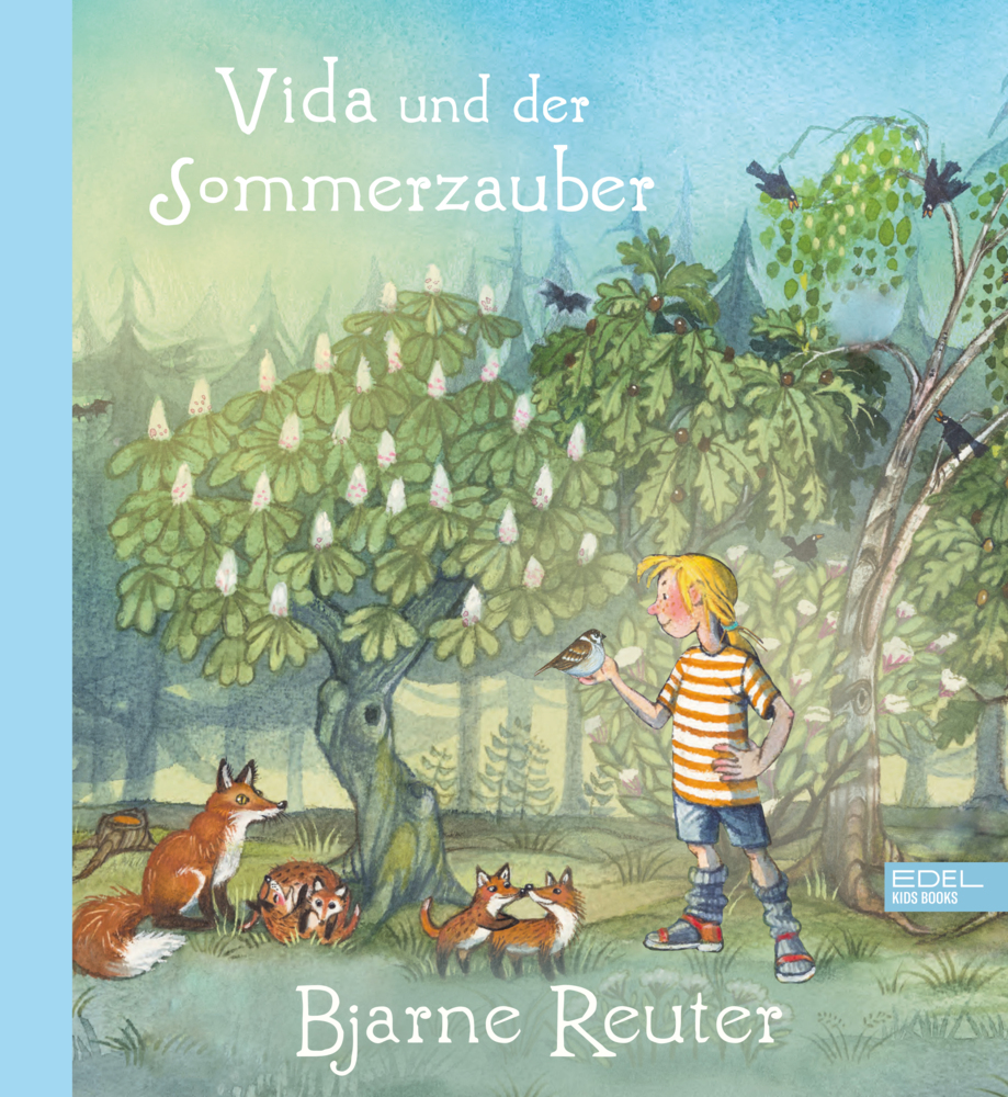 Vida und der Sommerzauber main product photo
