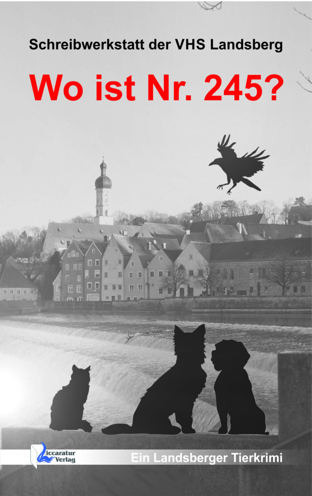 Wo ist Nr. 245? main product photo