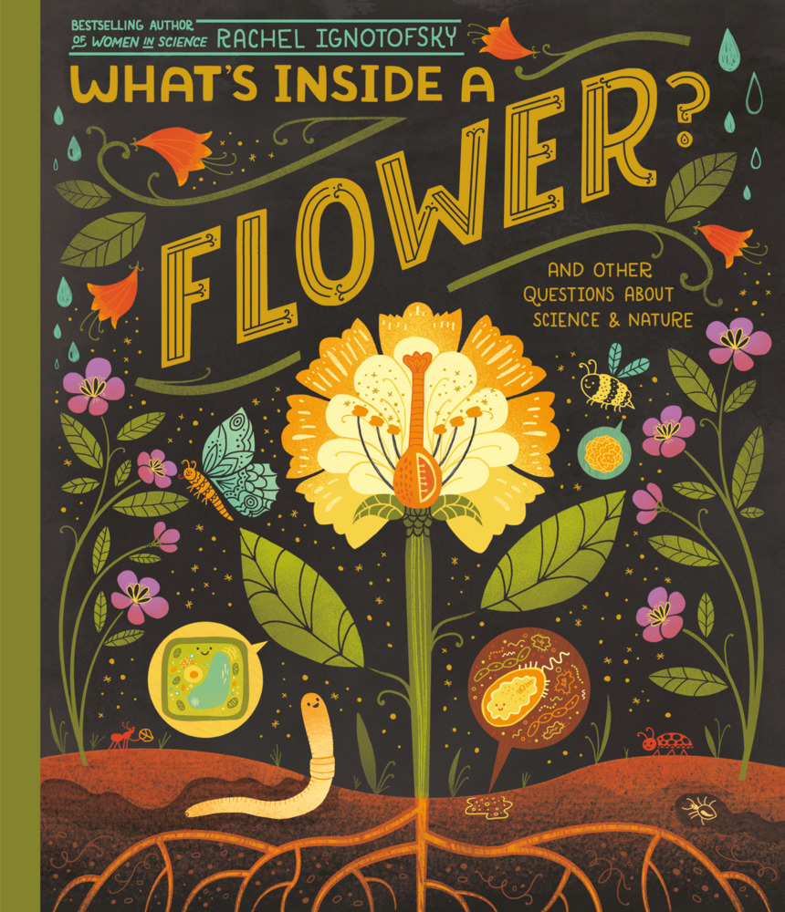 What's Inside A Flower? main product photo