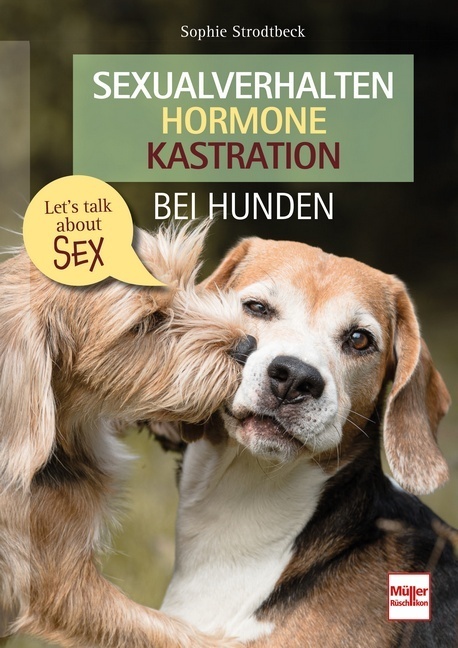 Sexualverhalten - Hormone - Kastration bei Hunden main product photo