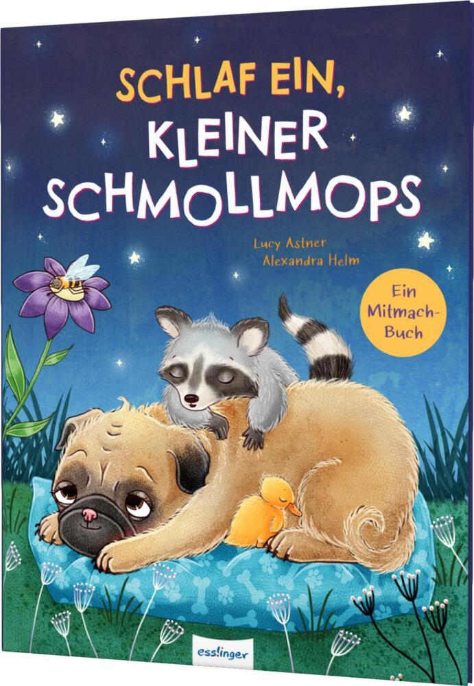 Schlaf ein, kleiner Schmollmops main product photo