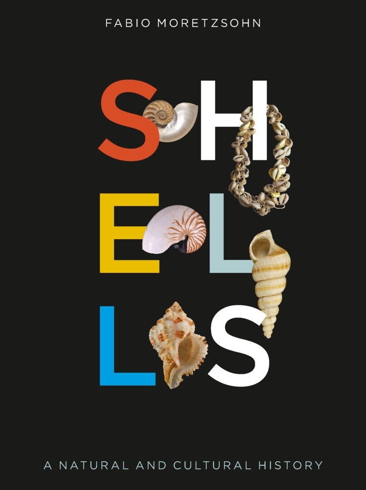 Shells main product photo