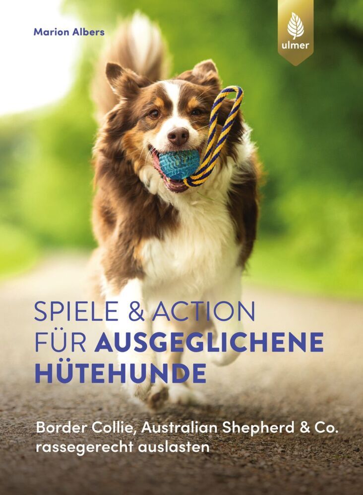 Spiele und Action für ausgeglichene Hütehunde main product photo