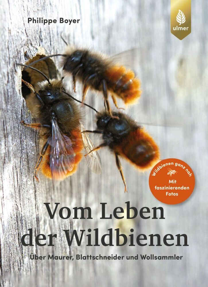 Vom Leben der Wildbienen main product photo