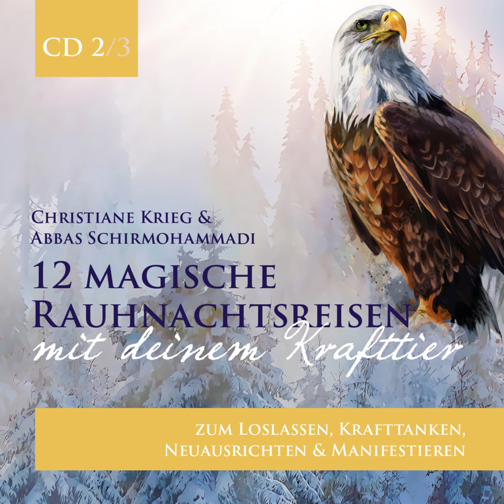 12 magische Rauhnachtsreisen mit deinem Krafttier -CD 2- main product photo
