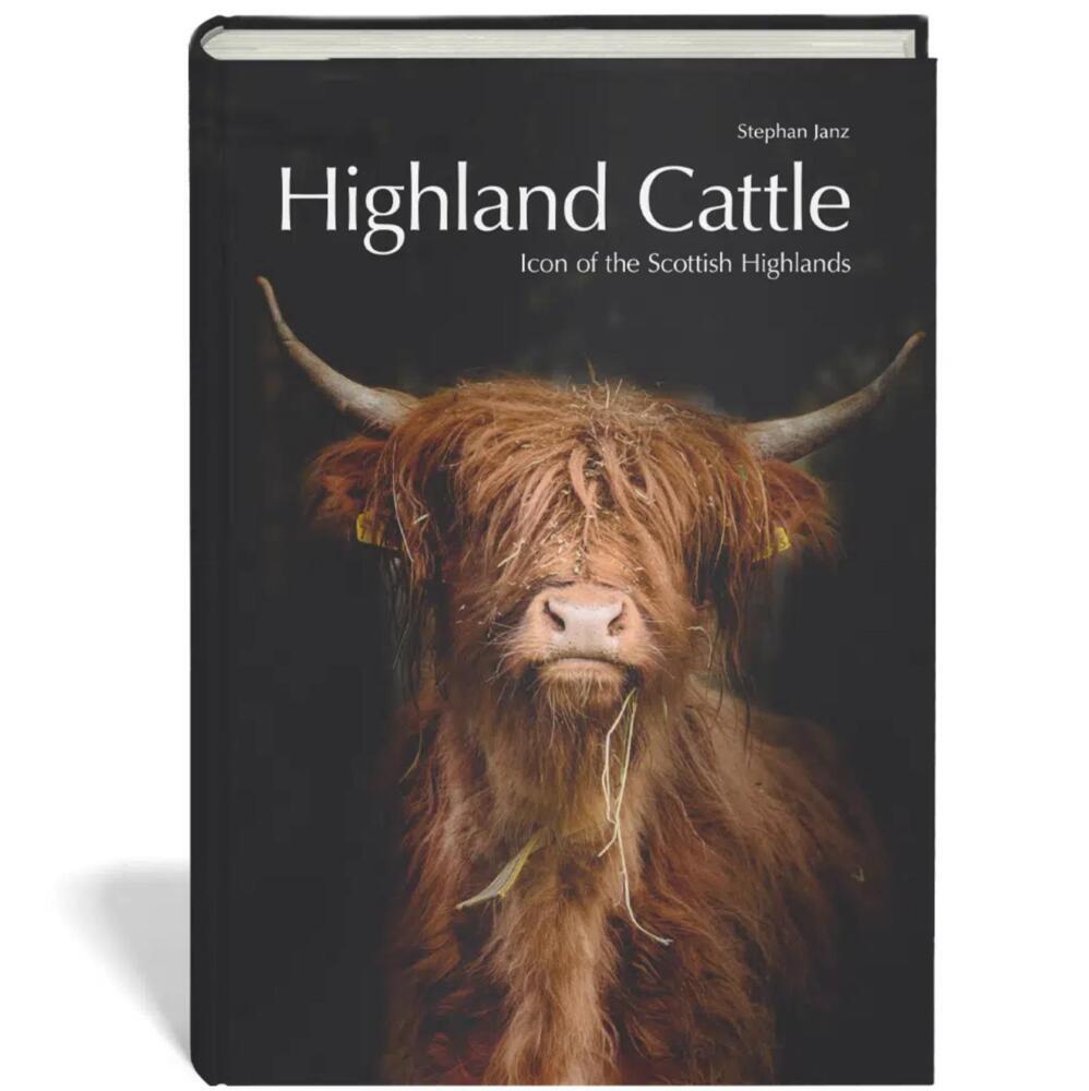 Highland Cattle main product photo