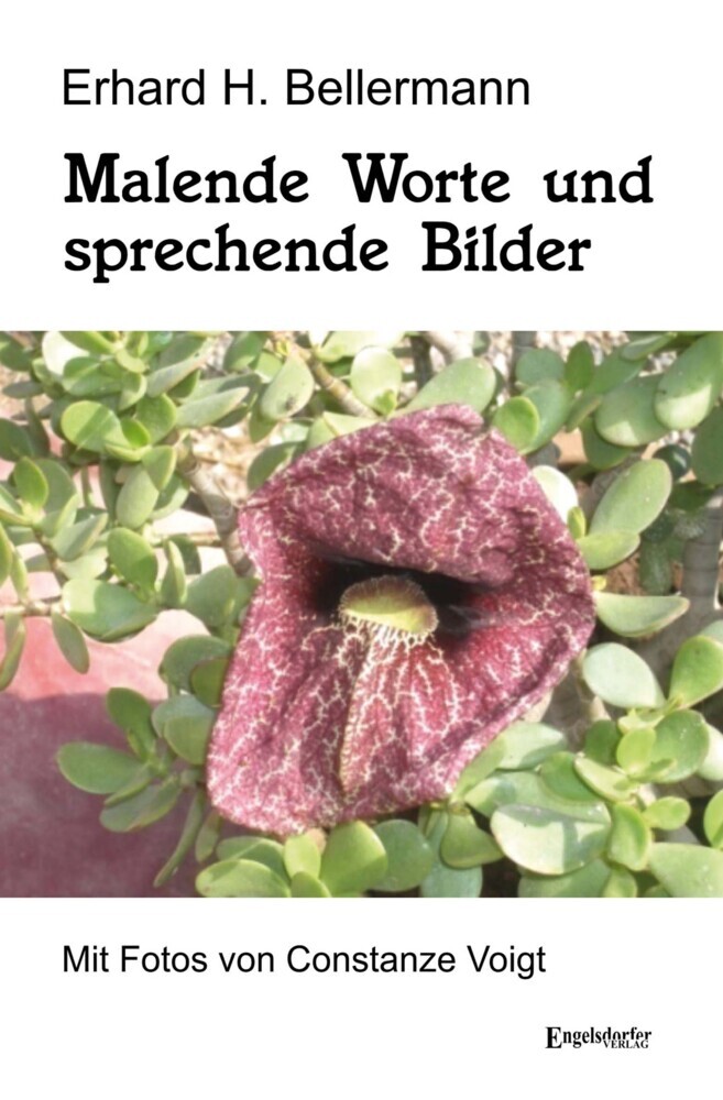 Malende Worte und sprechende Bilder main product photo
