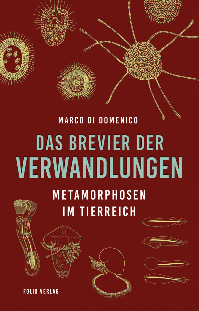 Das Brevier der Verwandlungen main product photo