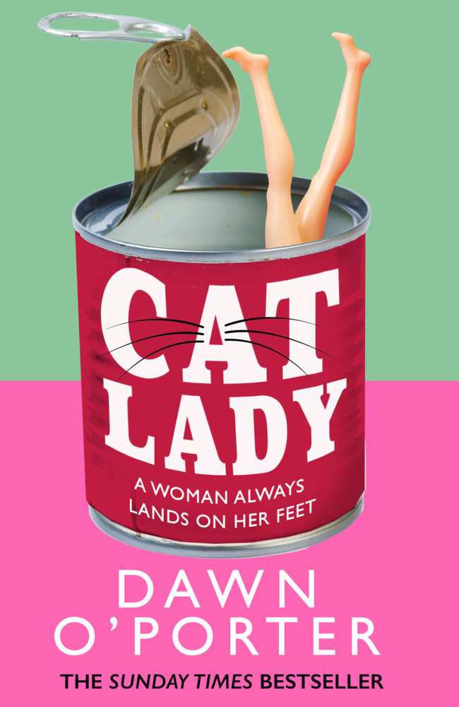 Cat Lady main product photo