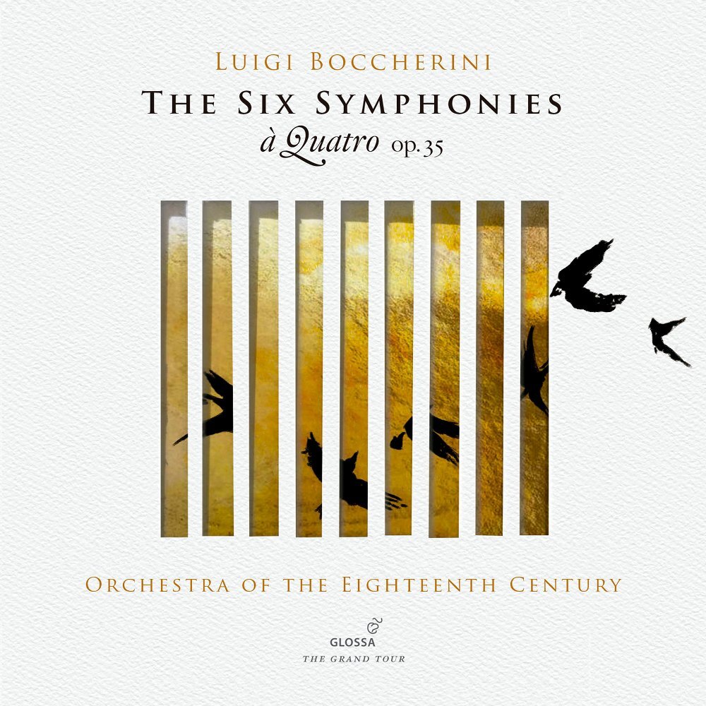 Sinfonien op. 35 (Fassung für Streicher), 2 Audio-CD main product photo