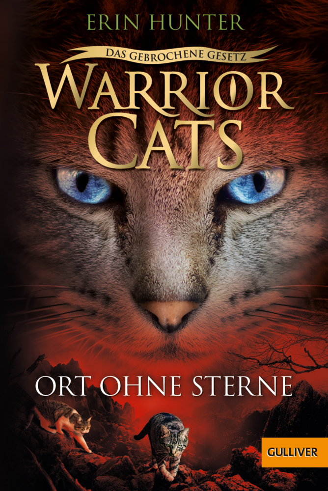 Warrior Cats - Das gebrochene Gesetz. Ort ohne Sterne main product photo