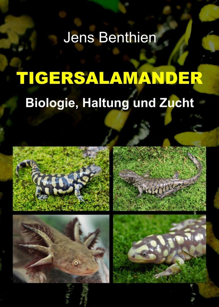 Tigersalamander main product photo