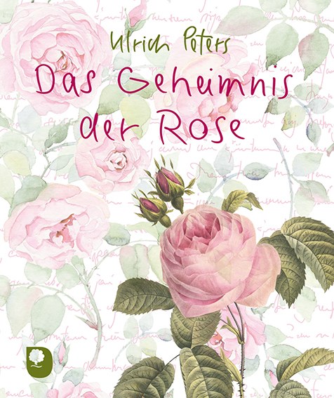 Das Geheimnis der Rose main product photo