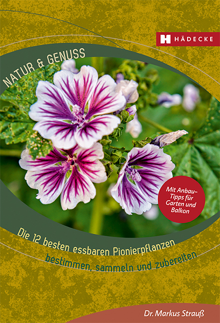 Die 12 besten essbaren Pionierpflanzen main product photo