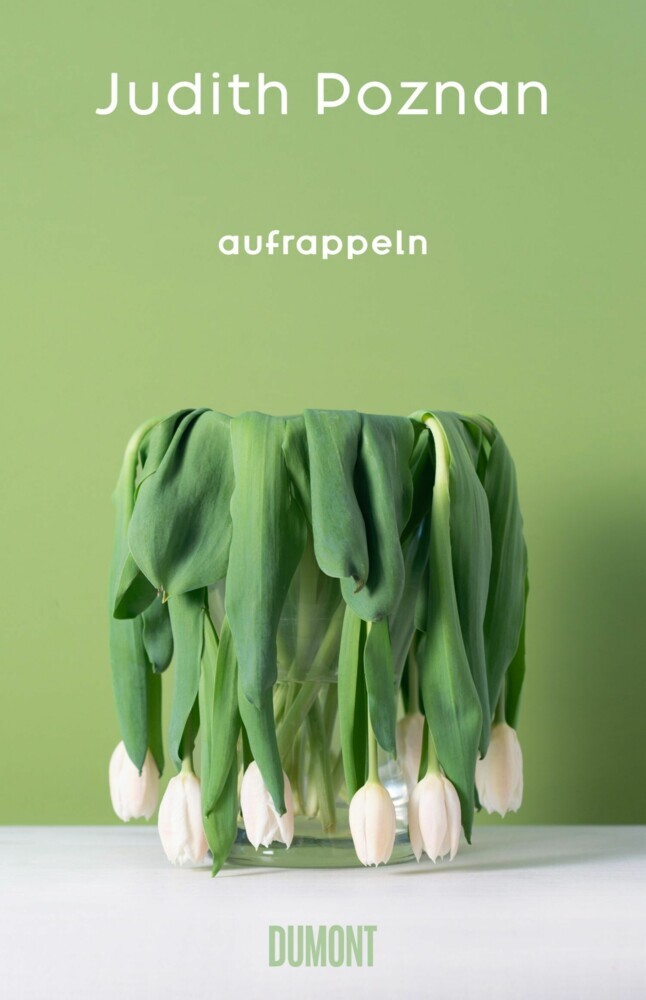 Aufrappeln main product photo