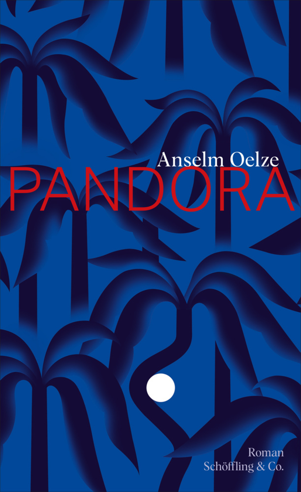 Pandora main product photo