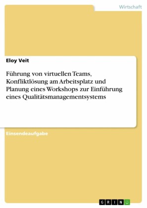 Führung von virtuellen Teams, Konfliktlösung am Arbeitsplatz und Planung eines Workshops zur Einführung eines Qualitätsmanagementsystems