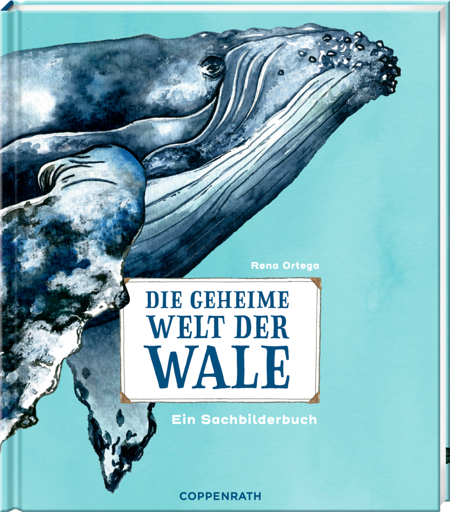 Die geheime Welt der Wale main product photo