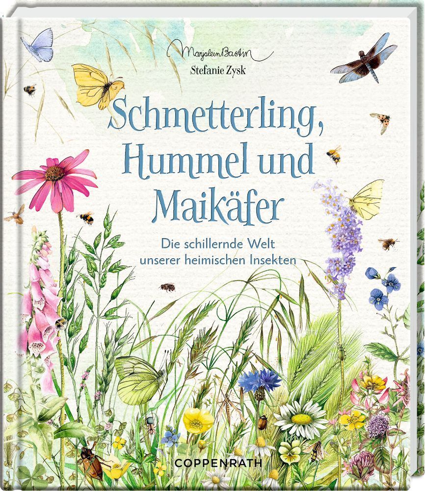 Schmetterling, Hummel und Maikäfer main product photo