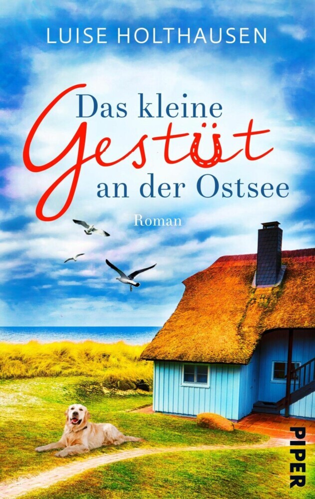 Das kleine Gestüt an der Ostsee main product photo