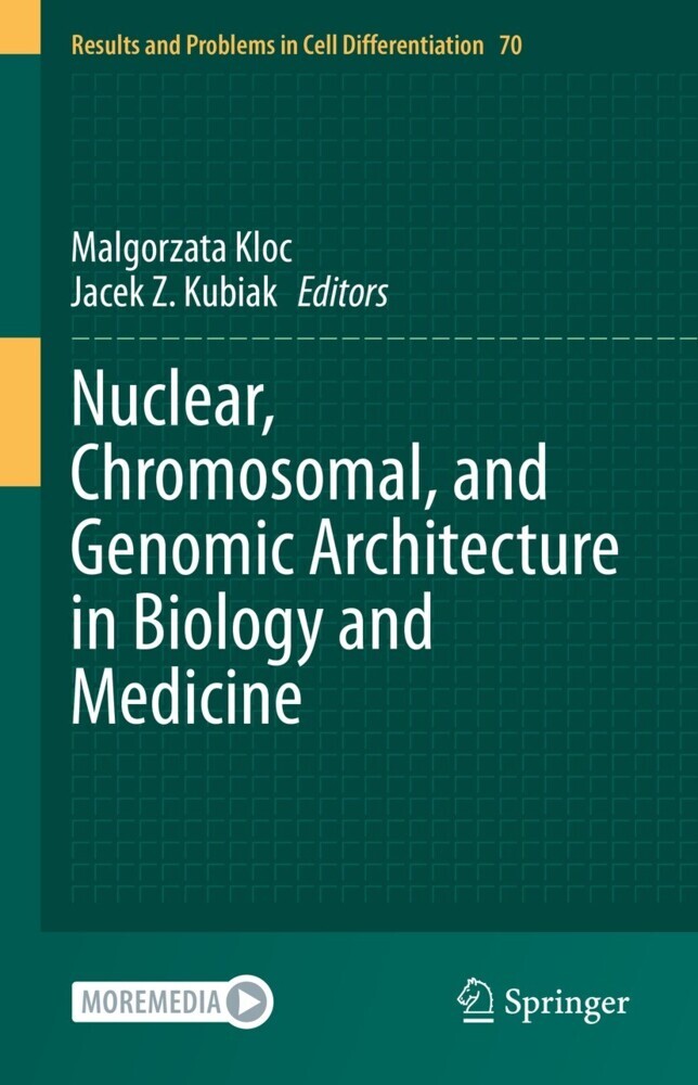 Nuclear, Chromosomal, and Genomic Architecture in Biology and Medicine main product photo